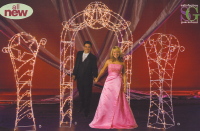 STARS_Wire_Column_and_Arch_white.png (1037026 bytes)